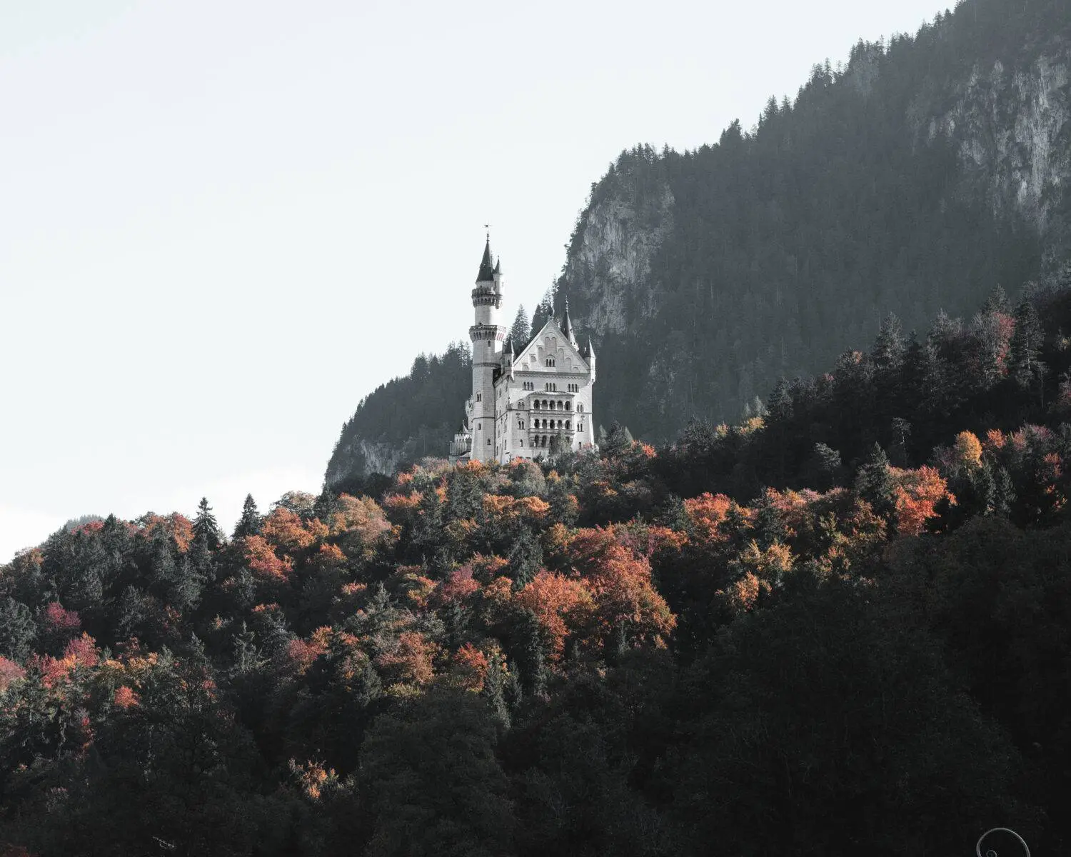 Neuschwanstein